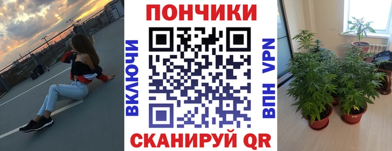 Конопля Amnesia  ссылка на мегу ссылка  Старая Русса 